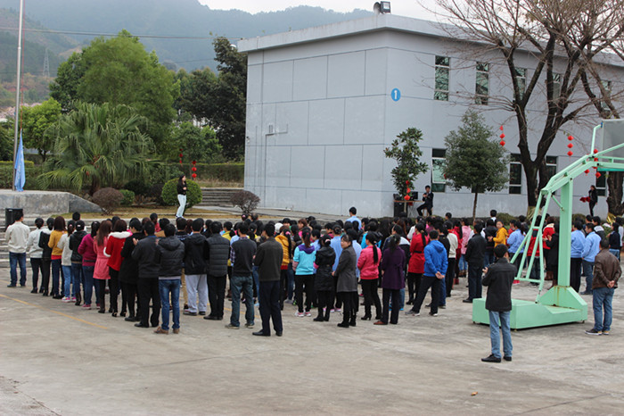 駿馬歡騰開新春